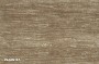 PLAIN-37