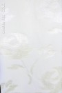 Onellla-005---2702