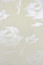 Onellla-005---2704