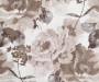 1805---4