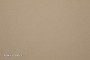 FOX-kol.1-LT-BEIGE
